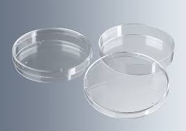 DISH PETRI 100x10MM Glass Comp. Set - D4370-2