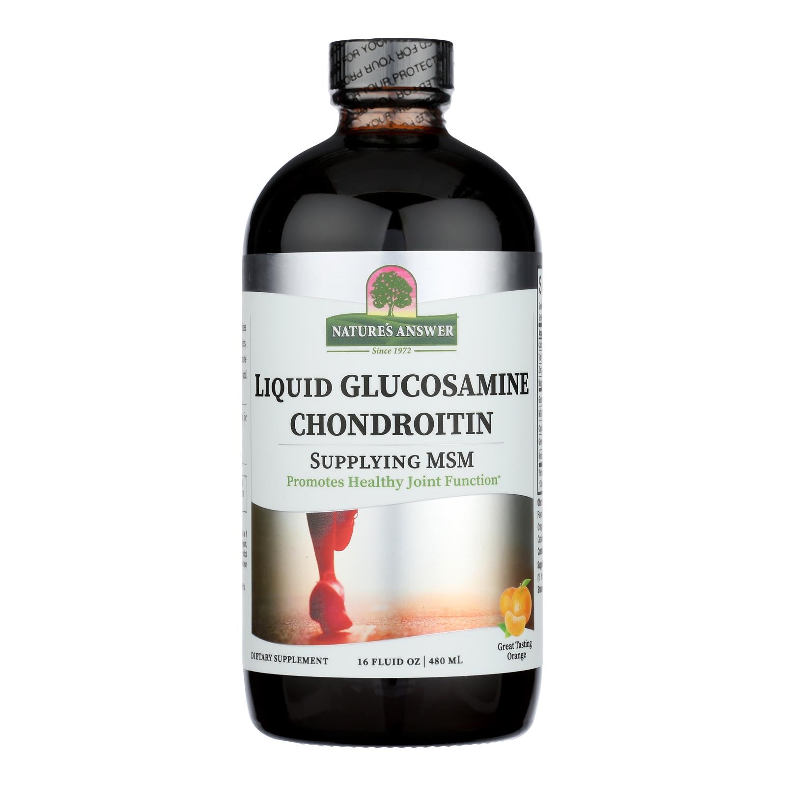 Nature's Answer Liquid Glucosamine Chondroitin MSM, 16 fl oz