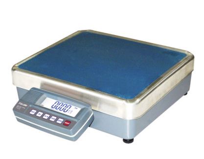 PLATFORM Scale 60kg X .2g