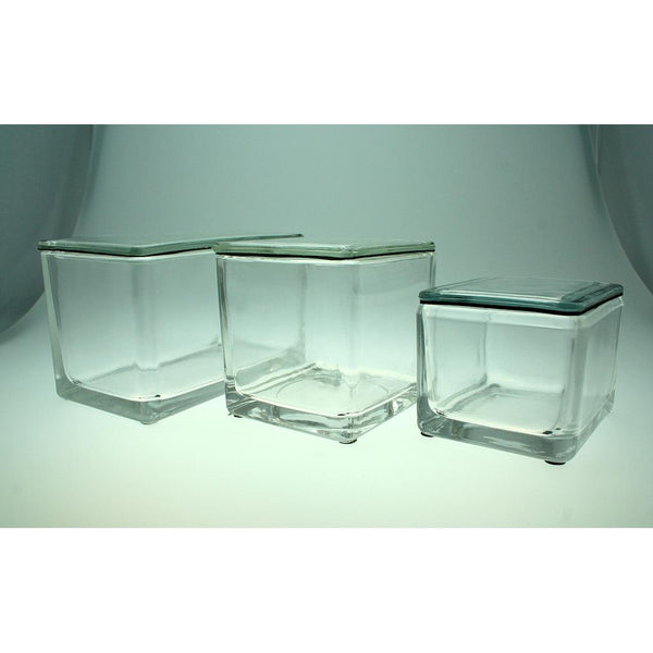 C & A Scientific STAINING DISH w/Cover CUBE APRX. 4"SQ OD - M6549-3