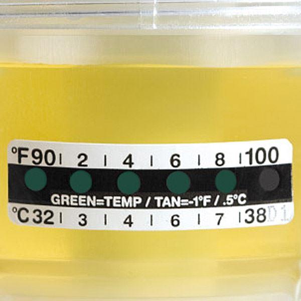 Thermometer Strips, Graduated in both Fahrenheit (90-100°) and Celsius (32-38°)-112215