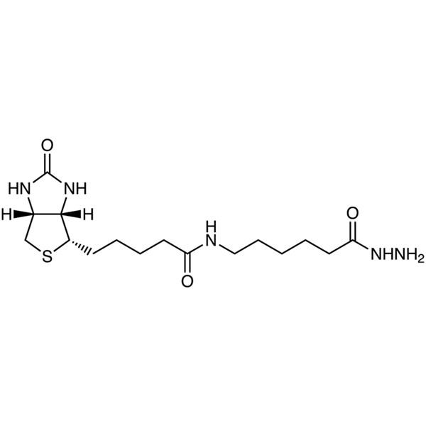 N''-Biotinyl-6-aminohexanoylhydrazide, 25MG - H1071-25MG