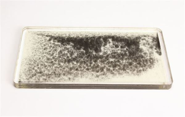 Magnetic Field Demonstrator - MGFD03