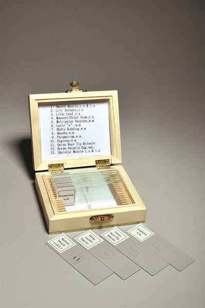 Biology Prepared Slide Set, 13 Slides - SLD013