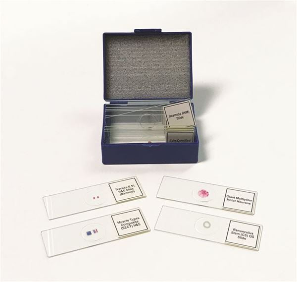 Biology Prepared Slide Set Of 14 - SLD014