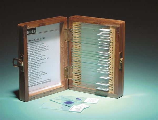 Prepared Slide Set, 25 Slides - SLD500-SET/25