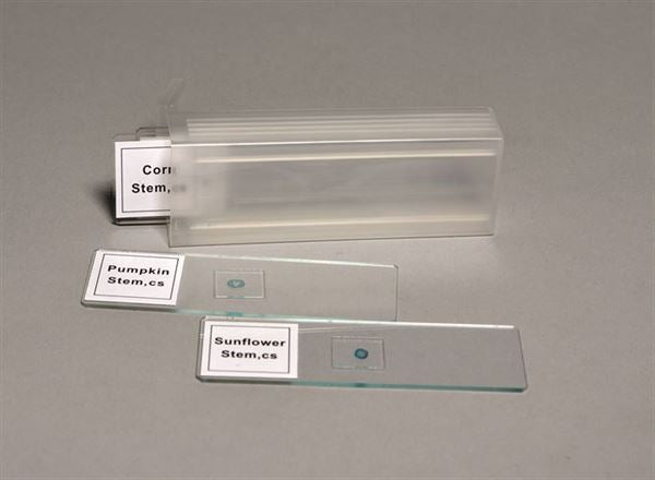 Prepared Slide Set, 4 Slides - SLDSET4