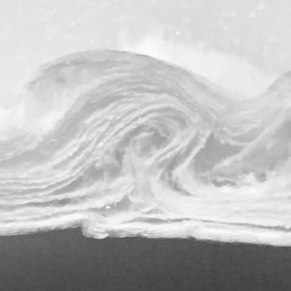 MultiDensity™ Disk, <0.5micron final retention, 20.0cm dia, 5 per pack - MD-050-1014